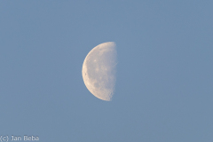 Mond