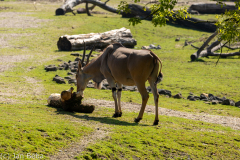 IMG_3475