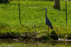 IMG_3701