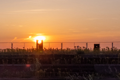 DJI_0413