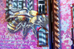 IMG_7617