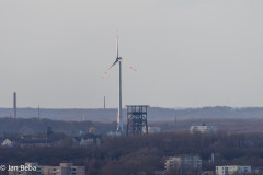 IMG_9561